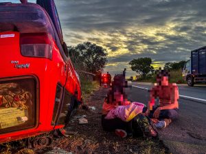 SSP atua em acidente envolvendo animais na BR-343 durante Operação Porteira Fechada
